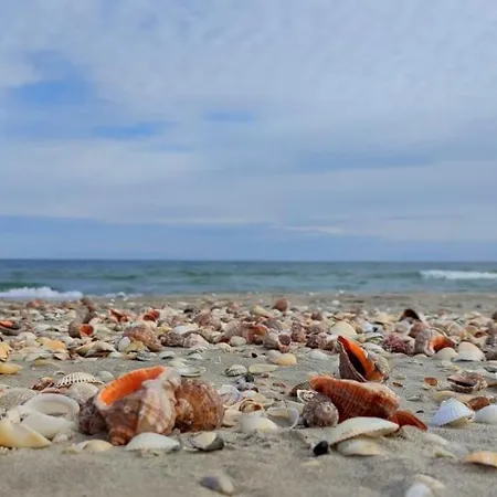 Casa Pescareasca - Complex Plaja Golf Pensión Corbu (Constanta)