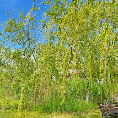 Casa Pescareasca - Complex Plaja Golf בית הארחה קורבו